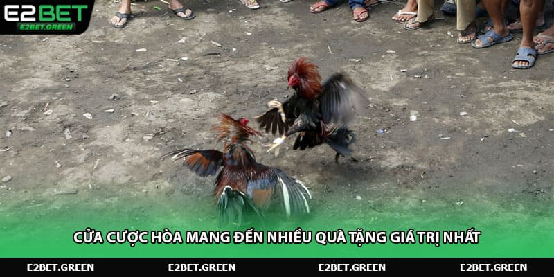 Cửa cược hòa mang đến nhiều quà tặng giá trị nhất