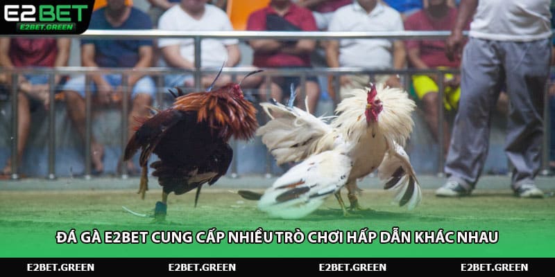 Đá gà e2bet cung cấp nhiều trò chơi hấp dẫn khác nhau